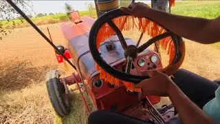 First Time Driving Old Mahindra 575 | POV ASMR 4K Cultivator Work