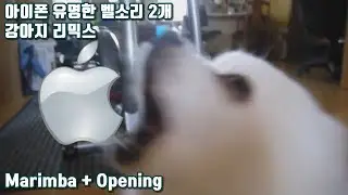 아이폰 벨소리 유명한 곡 2개 강아지 리믹스 iPhone Ringtone Marimba + Opening (Gabe the Dog Remix)