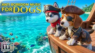 Dog Cartoons for Dogs: All Day Anti Boredom Music for Dogs | Calming Videos for Dogs to Stop Anxiety