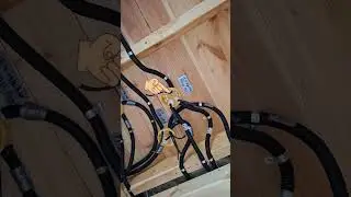The dog is watching the grounding device (Собака наблюдает за устройством заземления в доме А-фрейм)