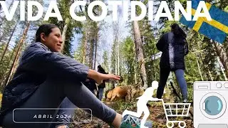 SUECIA: 🤗 D&iacute;as ocupados, Supermercado, precios de productos, primavera en el bosque y lavander&iacute;a