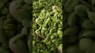 8mm Machine Sorted and Hand Picked Green Cardamom, Direct from Plantations of Kerala India