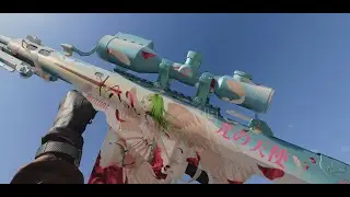 BlackOps Cold War Anime Packs