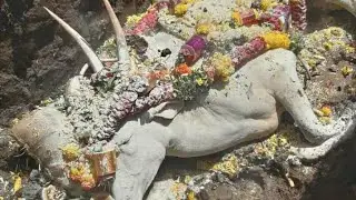 race king surya minchina ota ( rip surya😭😭
