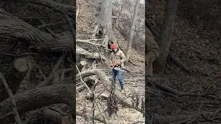 Satisfying CHAINSAW!!!