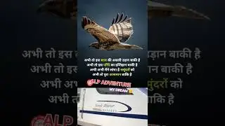 ALP ADVENTURE l#shorts #train #motivation #shayri #jalebibabymeme#song  #youtubeshorts #alpadventure