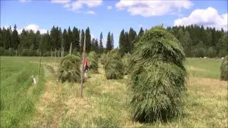 Kuivaheinän tekoa 2015