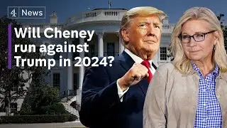 Trump critic Liz Cheney vows to fight on after defeat in Republican primary race