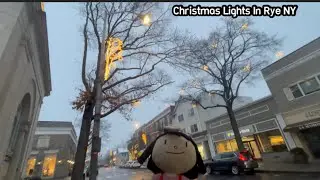 Elinor and Friends At Walking Downtown The City Of Rye Christmas Lights Rye NY Episode 4085