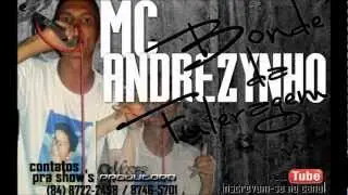 MC ANDREZYNHO - BONDE DA FULERAGEM ( MASTER PRODUTORA )