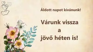 2026.01.18. KSzEVideo élő közvetítése