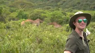 Arusha National Park&ndash;Where the Day Shifted from Work to Wonder