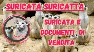 Suricata.Documenti cessione