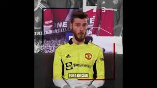 playerdiary #David de gea