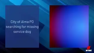 City of Alma PD searching for missing service dog