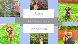 Puppy Preparation | Pet Accessories Haul | Small Business | UK Based Businesses