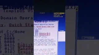 God's operating system review #shorts #windows #templeOS#terry A. Davis
