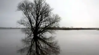 EFEverde con el d&iacute;a del agua