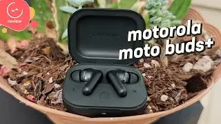 Motorola moto buds+ | Detailed Review