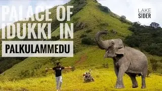 ഭയാനകരമായ ഇടുക്കിയിലെ പാൽകുളമേഡ് കണ്ടിട്ടുണ്ടോ ?  PALKULAMEDU FULL VIDEO!!!WATCH