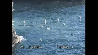 Preview of my 29th February 2004 movie e2Produce