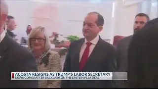 Labor Secretary Alex Acosta resigns in fallout from Epstein case