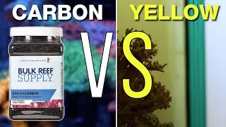 Does Yellow Reef Tank Water REALLY Affect PAR?