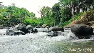 Gentle River in Green Forest - Nature ASMR for Insomnia Relief & Anxiety Calm | ( No Music ) 