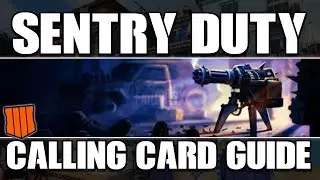 SENTRY DUTY CALLING CARD GUIDE