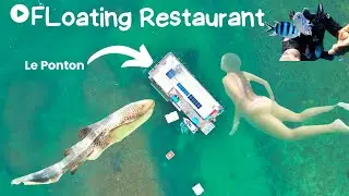🌊Floating Restaurant & Beautiful Caledonians 🇳🇨 ||Ponton||