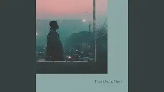 Dust On the Vinyl