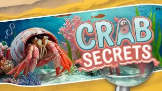 The Secret Life of the Hermit Crab