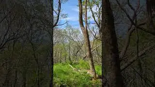 Hiking to Buzzard Rock Whitetop, Virginia on the Appalachian Trail