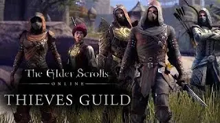 Thieves Guild Quest-line.FIRST QUEST