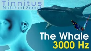 Tinnitus Sound Therapy Water Notched Sound at 3000 Hz - The Whale's Song