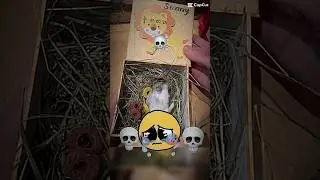 #viral #1mio #trend#edit#capcut #😭#💀#Rip#Hamster