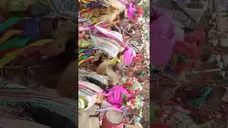 Mirdan song