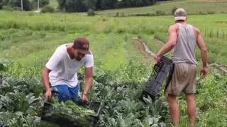 Southern Iowa RC&D Farmers' Market Video