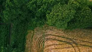 MAVIC Mini Cinematic footage 2K HD