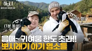 [연중기획 하모니] 현민과 화선의 산골 파라다이스 4부 / 연합뉴스TV (YonhapnewsTV)