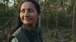 Story of animals forest plz support subscriber#youtube #youtuber #youtubeshorts #youtubevideo #all  