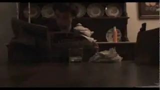 O P&aacute;ssaro de Ouro (2011) - Curta metragem