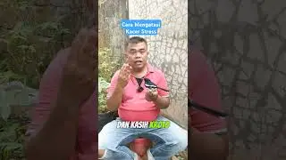 Cara Mengatasi Kacer Stress #burung #kicaumania #kacerfighter #kacer #tipsperawatankacer