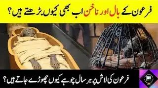 Islamic Story || Is Pharaoh's Hair and Nails Still Growing || Unbelievable Facts About The Pharaoh