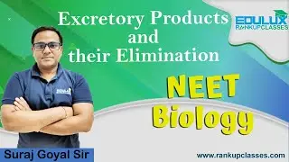 EXCRETORY PRODUCTS AND THEIR ELIMINATION (NEET) ~EDULUX~