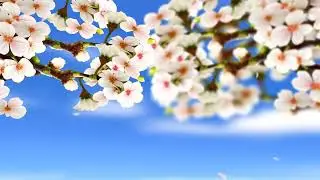 white flower branch waving in wind animation on blue blur sky background.