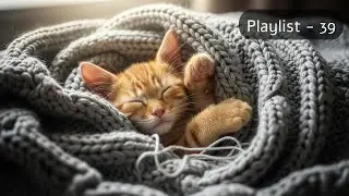 [Track - 39] Sleeping Kitten 🐱 Piano Music for Calm Moments