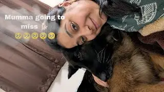 I miss you my 🐕🥺🥺🥺🥺🥺