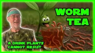 DIY Worm Casting Tea for Explosive Plant Growth