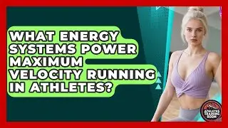 What Energy Systems Power Maximum Velocity Running In Athletes? - Athletes Training Room
